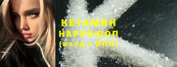 молекула духа Богданович