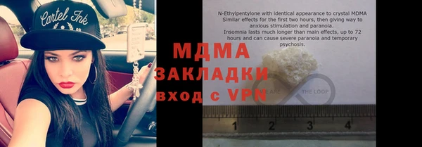 молекула духа Богданович