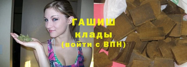 молекула духа Богданович