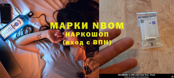 молекула духа Богданович