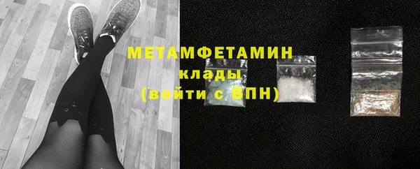 молекула духа Богданович