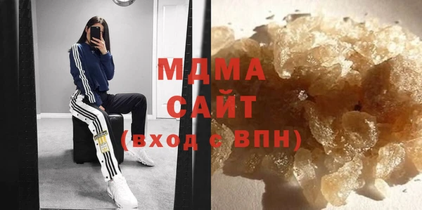 молекула духа Богданович