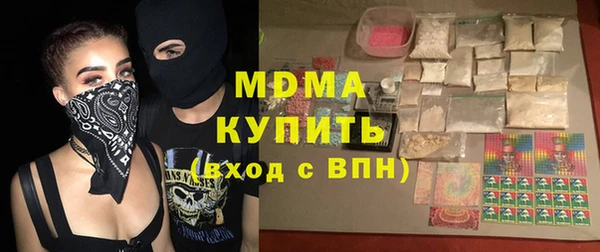 молекула духа Богданович