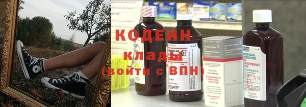 молекула духа Богданович
