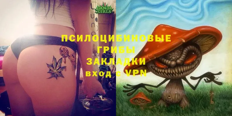 Псилоцибиновые грибы Cubensis  Бузулук 