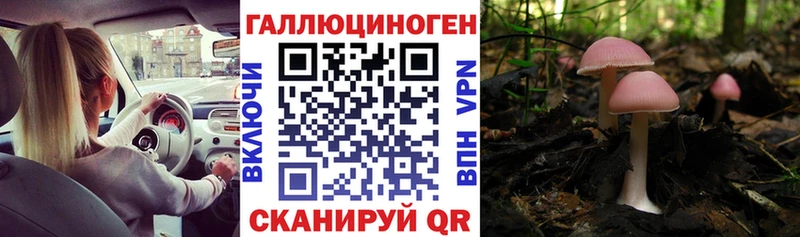 omg зеркало  даркнет сайт  Бузулук  Псилоцибиновые грибы Magic Shrooms 