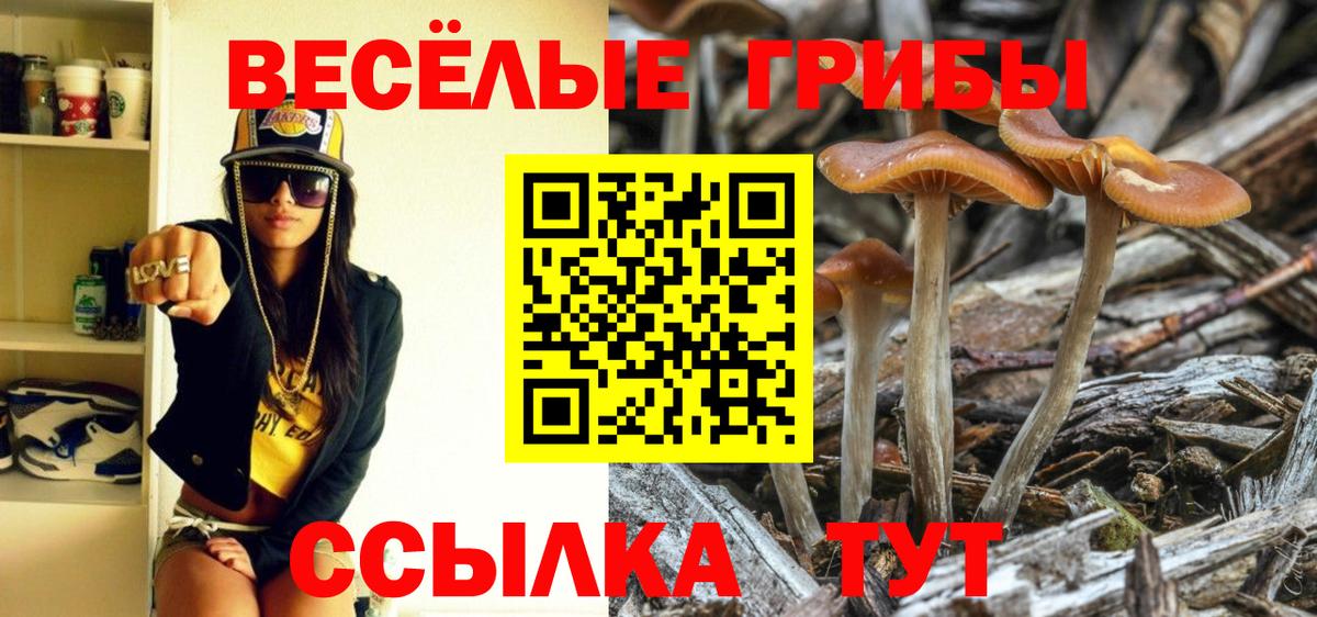Галлюциногенные грибы Psilocybe  Галлюциногенные грибы GOLDEN TEACHER  Вход с VPN  Бузулук 