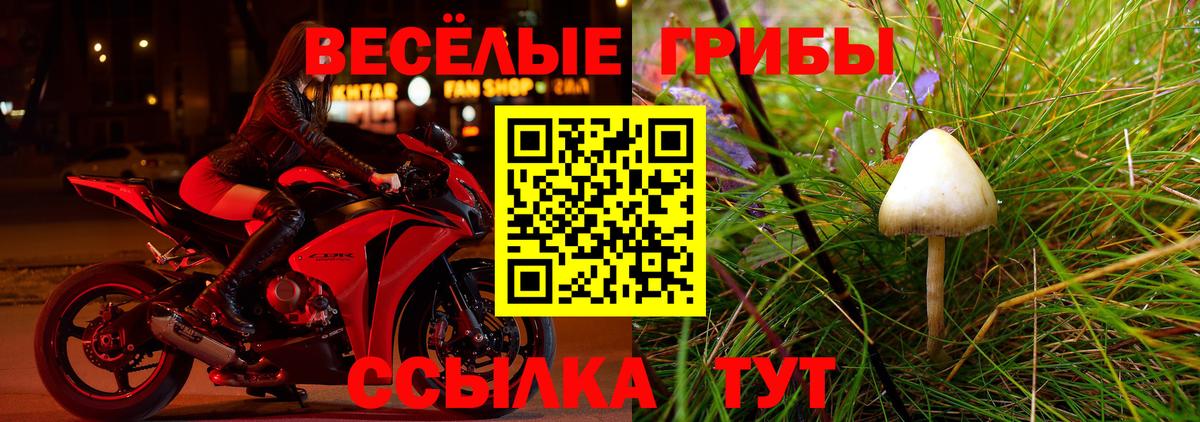 Псилоцибиновые грибы Cubensis  Галлюциногенные грибы Psilocybe  Бузулук 