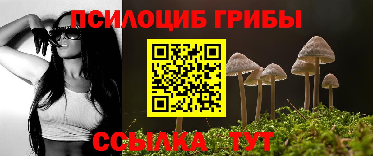 Псилоцибиновые грибы Cubensis Бузулук